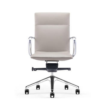 Top Quality Hot Sale Office Swivel Task Chair B1901