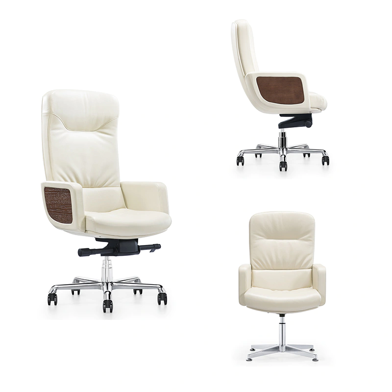 product-Traditional Design Executive office chair A1629-1-Furicco-img-1