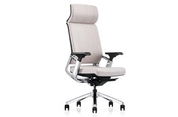 Modern Ergonomic Design Executive Office Chair KA-01L