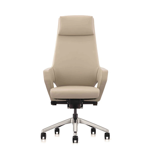 product-Strong Metal Feeling Leather Office Chair-Furicco-img-1