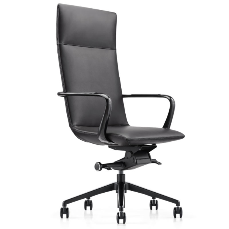 product-Furicco-Modern Ergonomic Design Executive Office Chair A1901-img