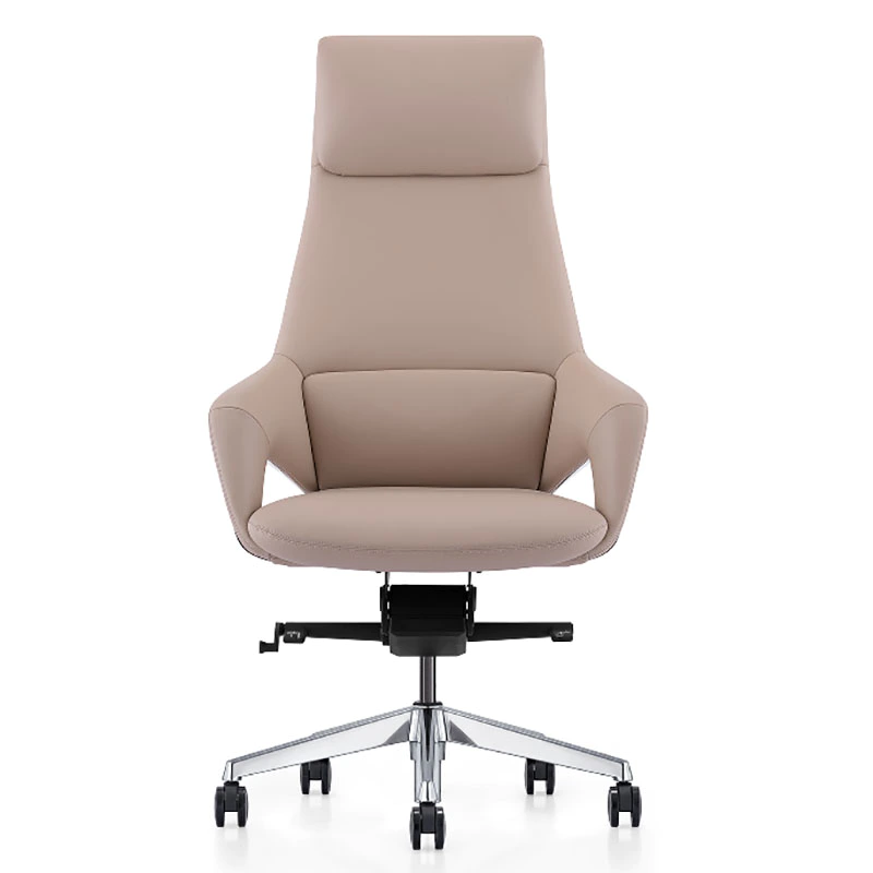 product-Modern Ergonomic Design Executive Office Chair FK005-Furicco-img-1