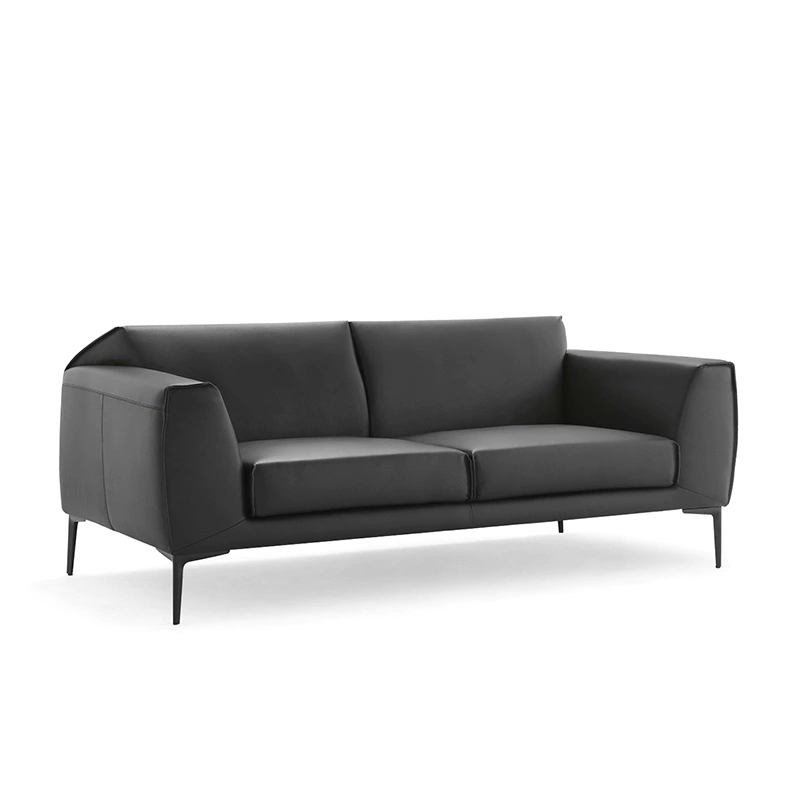 product-Furicco-Furicco High Quality Living Room Furniture Modern Design German 3 Seater Stylish Vin